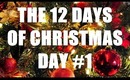 THE 12 DAYS OF CHRISTMAS: Day #1