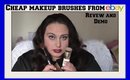 Ebay Makeup Brush Review & Demonstration