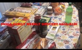 SMALL FAMILY WEEKLY GROCERY HAUL/ALDI