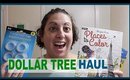 Dollar Tree Haul ♥︎ A Variety of Goodies! :)