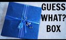 *NEW* GUESS WHAT BOX April 2017 | Unboxing & Review | Stacey Castanha