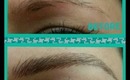 Hair Stroke Eyebrow Tattoo (after + pics at the end) ~ Part 2 of 2!
