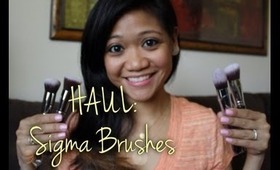 Haul: New Sigma Brushes & Its' Purpose