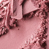 MAC Pro Longwear Eye Shadow Endless Passion