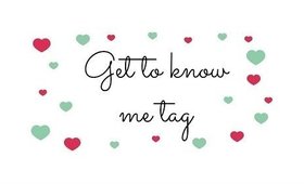 Get to know me tag || TLS