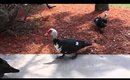 Florida | day 4