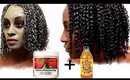 HOW TO GET THE MOST DEFINED BEAUTIFUL CURLS! BRING YOUR CURLS BACK TO LIFE! | Shlinda1