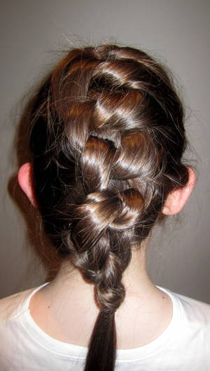 Knotted Braid
