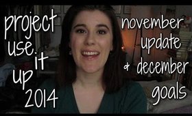 Project Use It Up 2014: November Update + December Goals