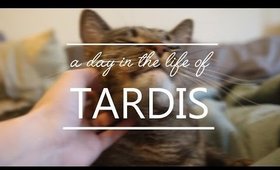 A Day in the Life of Tardis