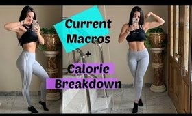 My Current Macros + Calories Breakdown | What I Eat In A Day | Fit Vlog S2 E4