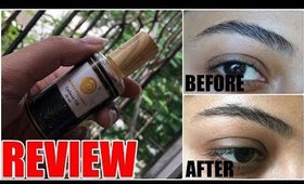 MOM'S THERAPY EYEBROW OIL REVIEW | Stacey Castanha