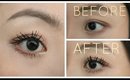 My Mascara Routine For Straight Asian Lashes