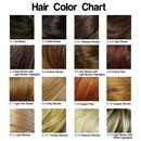 What Hair Color Would Look Best On You?.
