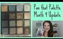 Pan that Palette Month 9 Update