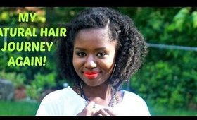 My Natural Hair Journey...Again! (on 4B Hair?)