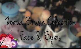 Zoeva Brush Collection - Eye & Face