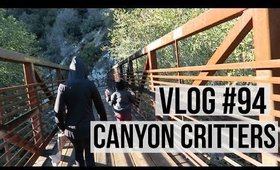 VLOG #94 : CANYON CRITTERS | SCCASTANEDA