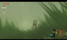 Girl plays Breath of the Wild BLIND STREAM PLAYTHROUGH. Part 18