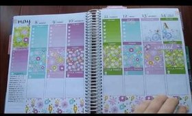 6 M Planner Flip Through ♡ Erin Condren Life Planner