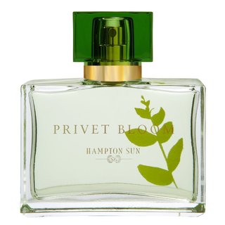 Hampton Sun Privet Bloom Eau de Parfum