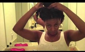 Turn Your Fro Into a Protective Style