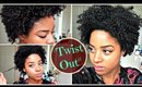 Defined & Thick Twist Out ft. Amplixin  Hair Line