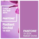 2014 Color of the Year