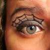 Spider Web 