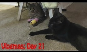 Vlog: Tardis Makes a New Friend! (Vlogmas Day 21)