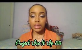 Project Use It Up 2016