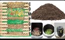 How to | Compost | Starting a Compost Bin | Home Made Garden Soil | DIY | Cheap | Itsmrsshasha