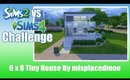 TS4 vs TS2 Build Challenge My 6 x 8 Tiny House (Bachelor Pad)