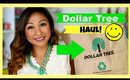 Dollar Tree Haul #6