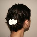 Bridial french updo.