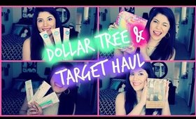 Dollar Tree & Target Haul