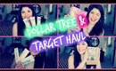 Dollar Tree & Target Haul