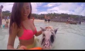 SWIMMING WITH PIGS AND SHARKS