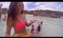 SWIMMING WITH PIGS AND SHARKS