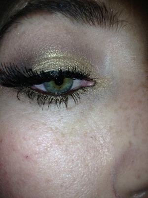 Gold eyes for the holidays!