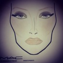 Face Chart by Me