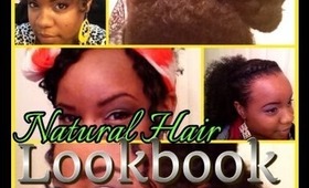 Natural hair Lookbook