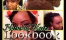 Natural hair Lookbook