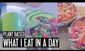 WHAT I EAT IN A DAY | Meet Lola!