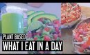 WHAT I EAT IN A DAY | Meet Lola!