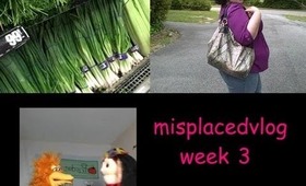 Misplacedvlog Week 3