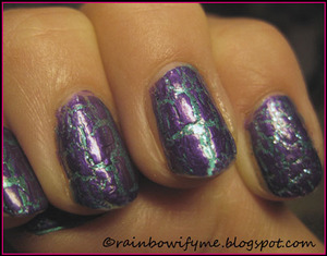China Glaze's Purple Crackle "Fault Line". 
I've written a review about it on my blog: http://rainbowifyme.blogspot.com/2011/09/china-glaze-crackle-fault-line.html
