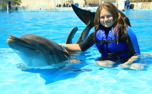 Swimming with Dolphins in Mexico
