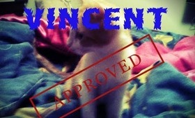 Vincent[Approves] Kittisode 1..
