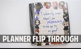 LAST 6 MONTHS PLANNER FLIP THROUGH